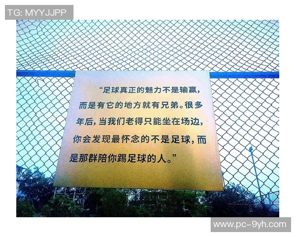 足球的滋味在于激情与团结的碰撞与梦想的追逐与实现