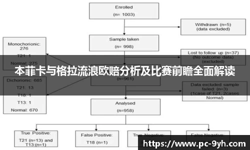 本菲卡与格拉流浪欧赔分析及比赛前瞻全面解读