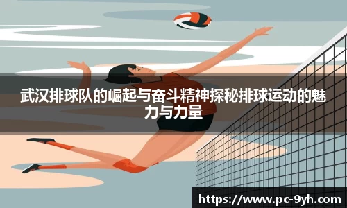 武汉排球队的崛起与奋斗精神探秘排球运动的魅力与力量